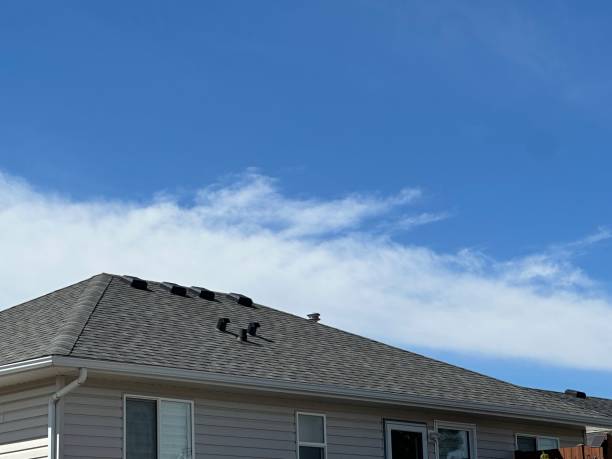 Best Roof Maintenance  in USA